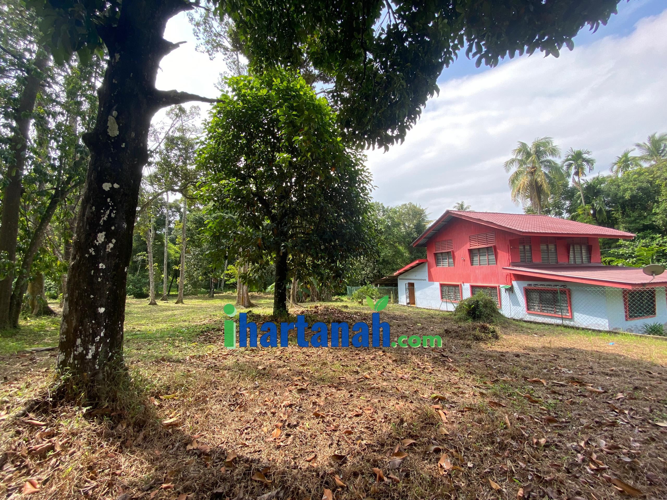 Perak : Kg Paya