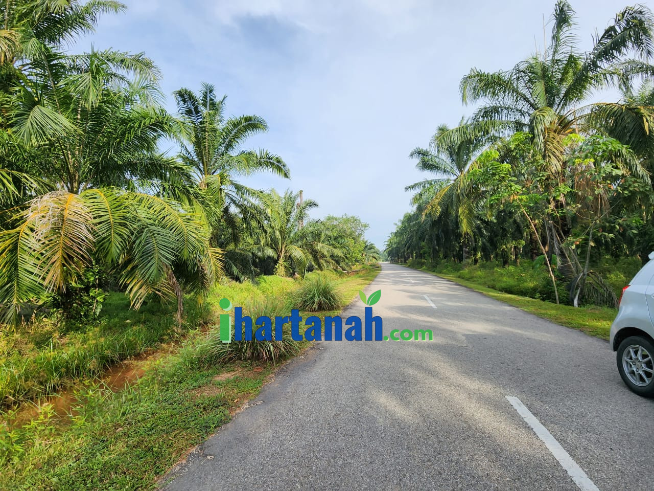 Kuala Selangor : Tanah Sawit & Rumah