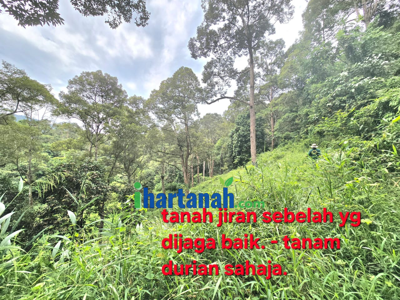 Tanah Dusun Rembau : Bukit Miku