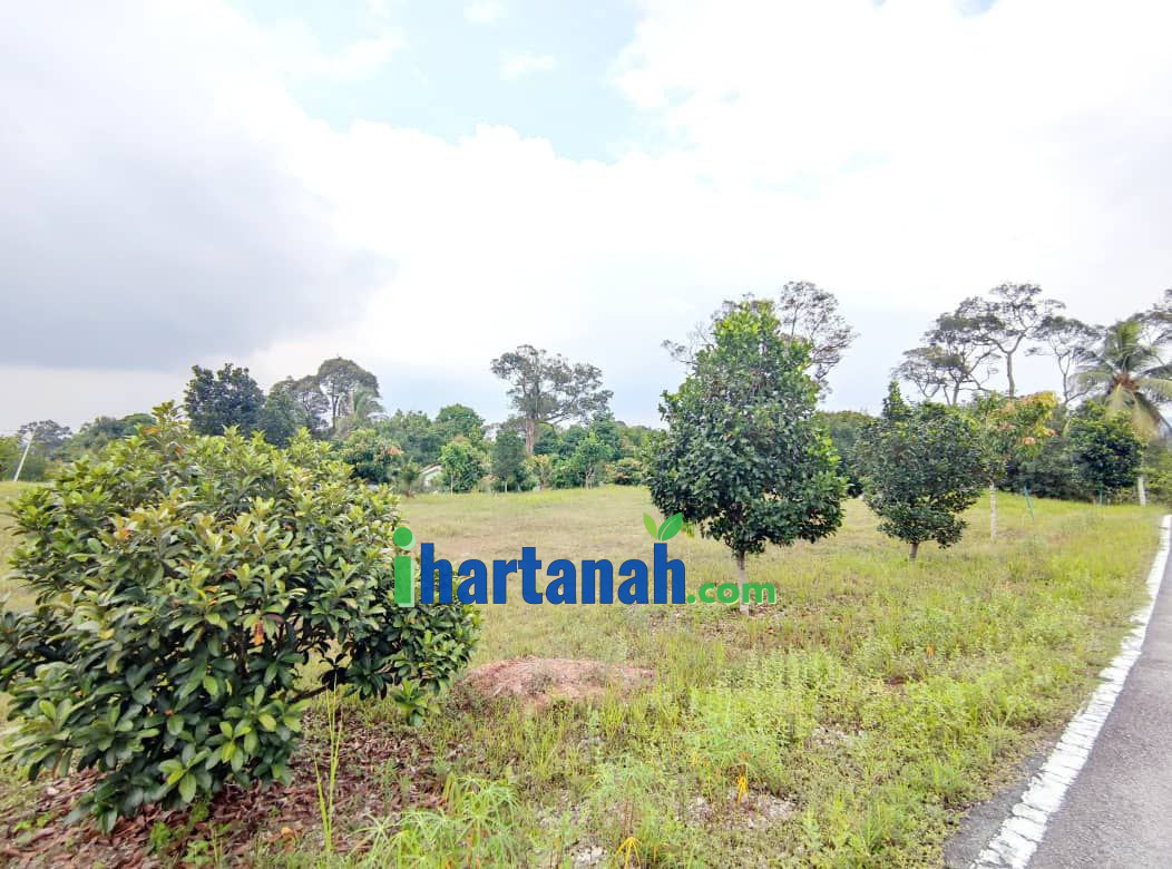Kebun Pertanian 0.75 Ekar Jenderam Hulu Dengkil