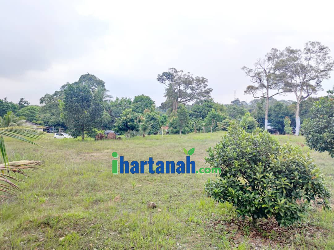 Kebun Pertanian 0.75 Ekar Jenderam Hulu Dengkil