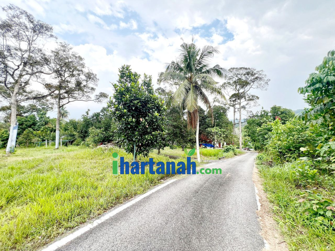 Kebun Pertanian 0.75 Ekar Jenderam Hulu Dengkil