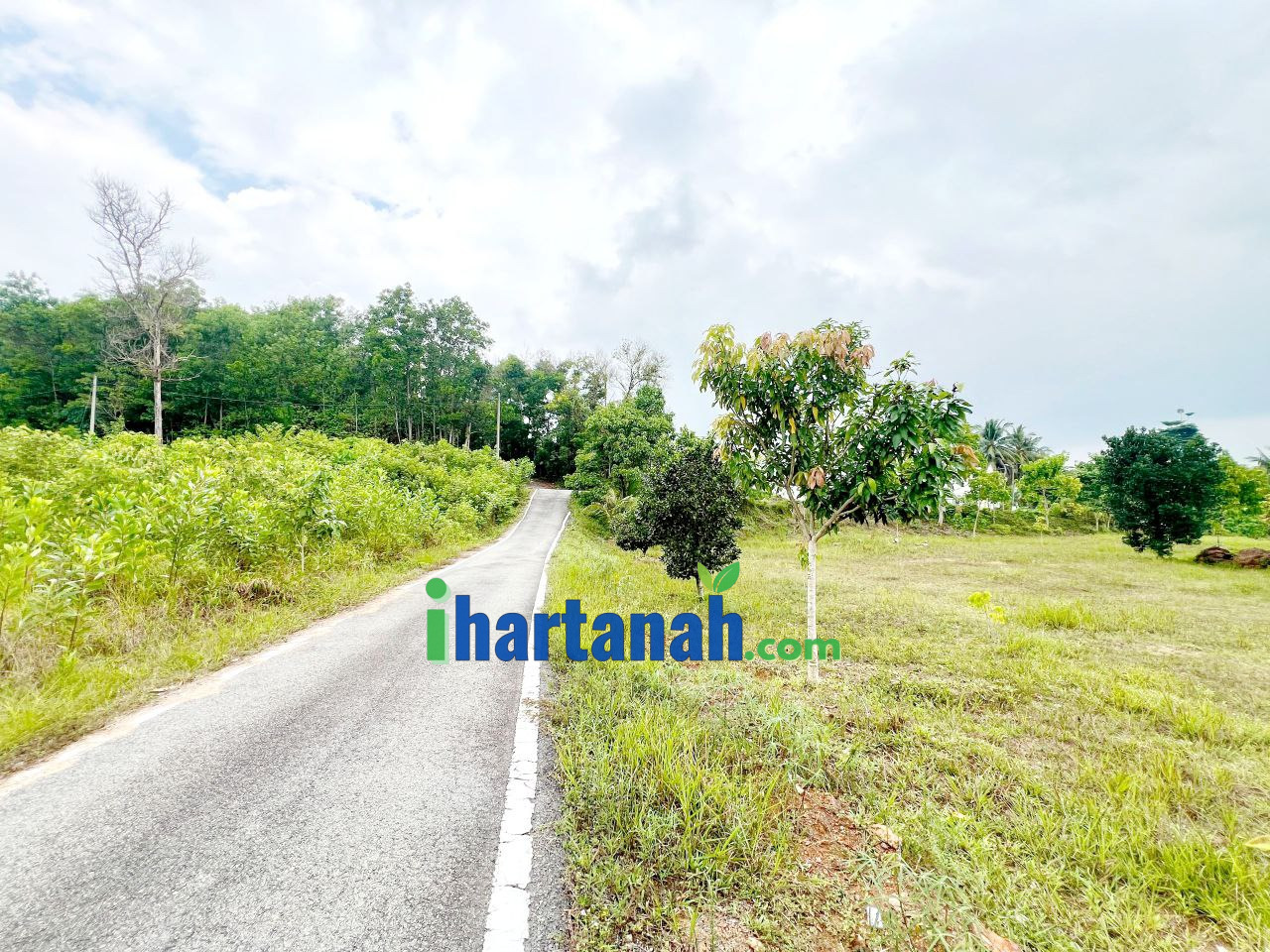 Kebun Pertanian 0.75 Ekar Jenderam Hulu Dengkil