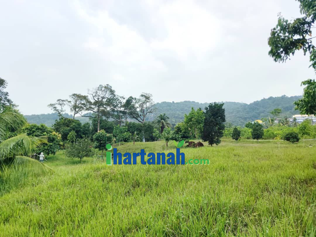 Kebun Pertanian 0.75 Ekar Jenderam Hulu Dengkil