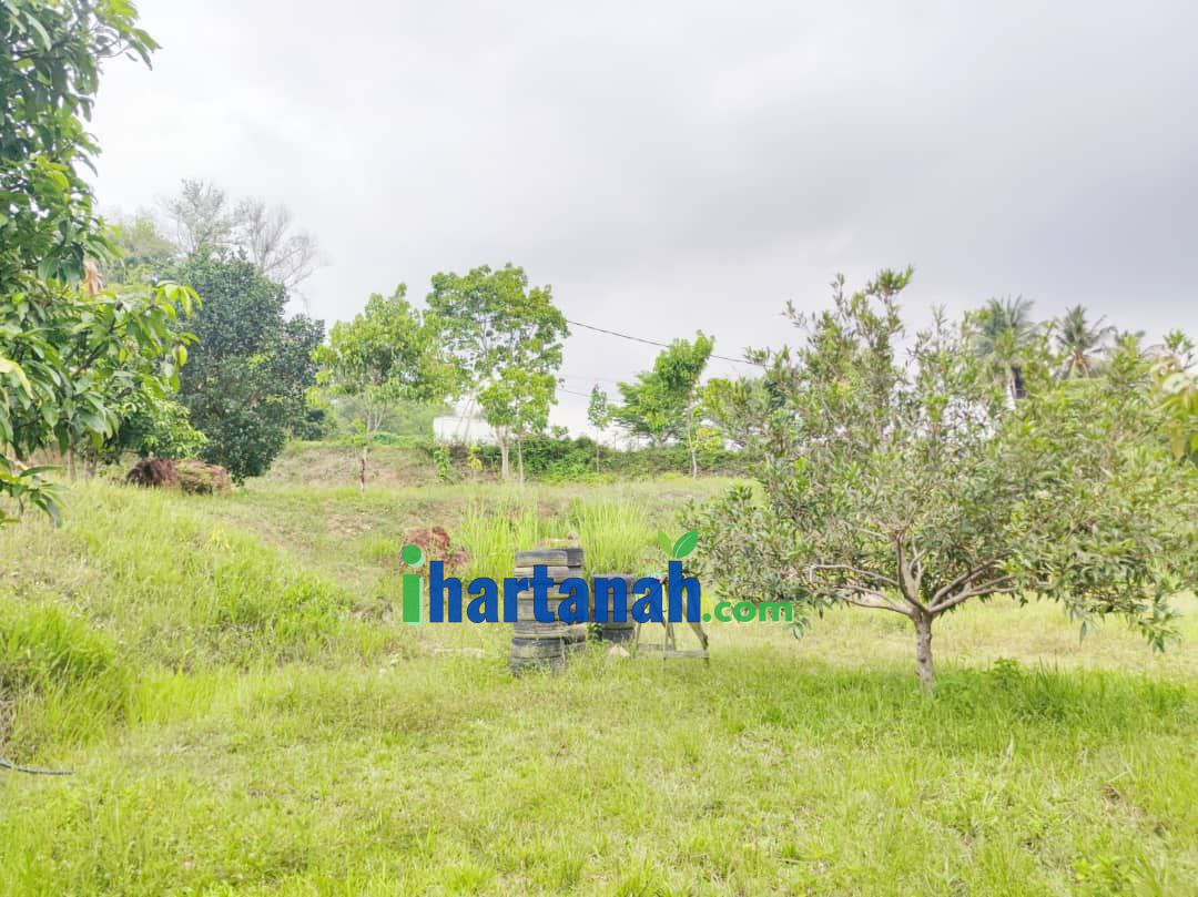 Kebun Pertanian 0.75 Ekar Jenderam Hulu Dengkil