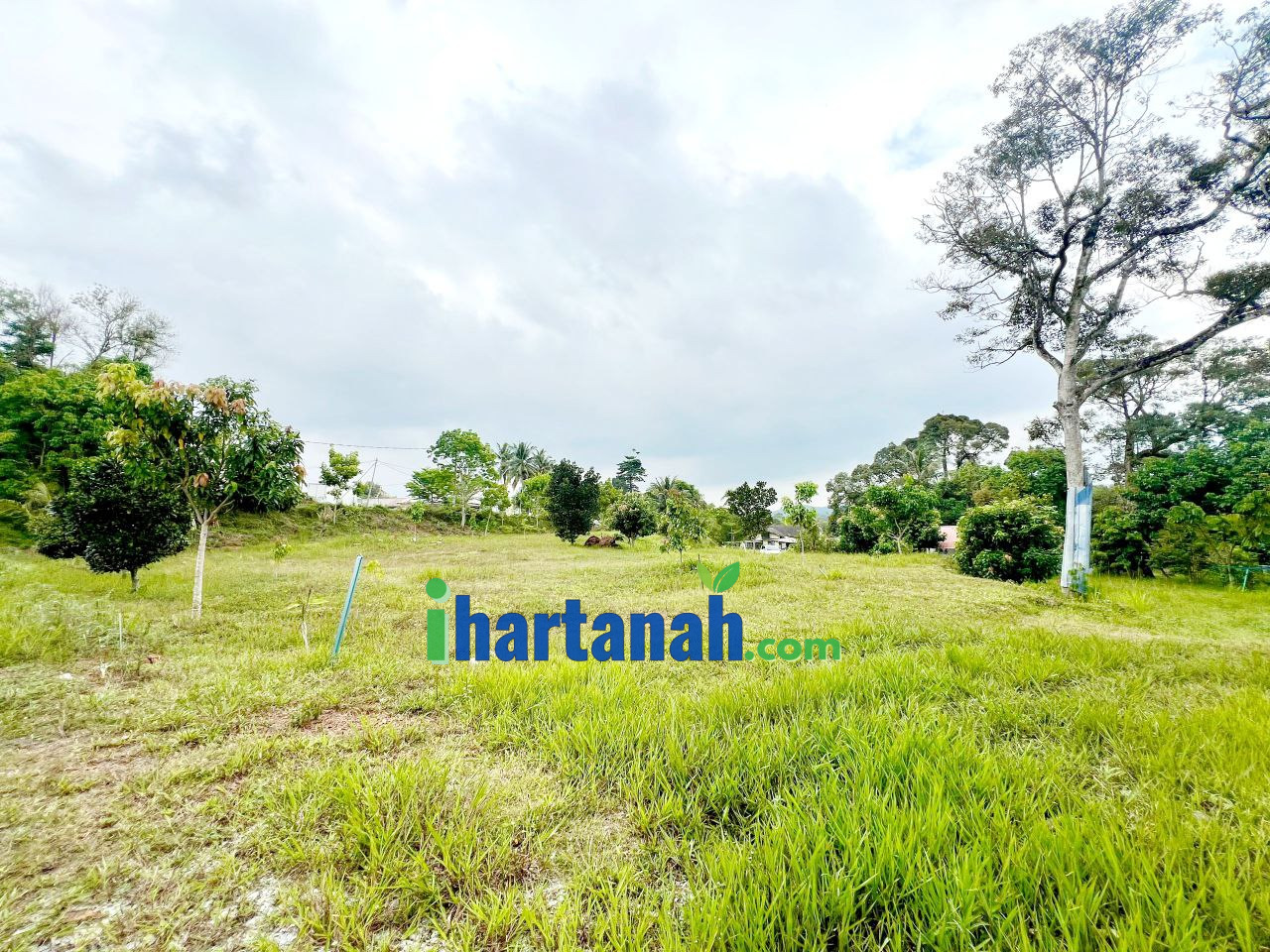 Kebun Pertanian 0.75 Ekar Jenderam Hulu Dengkil