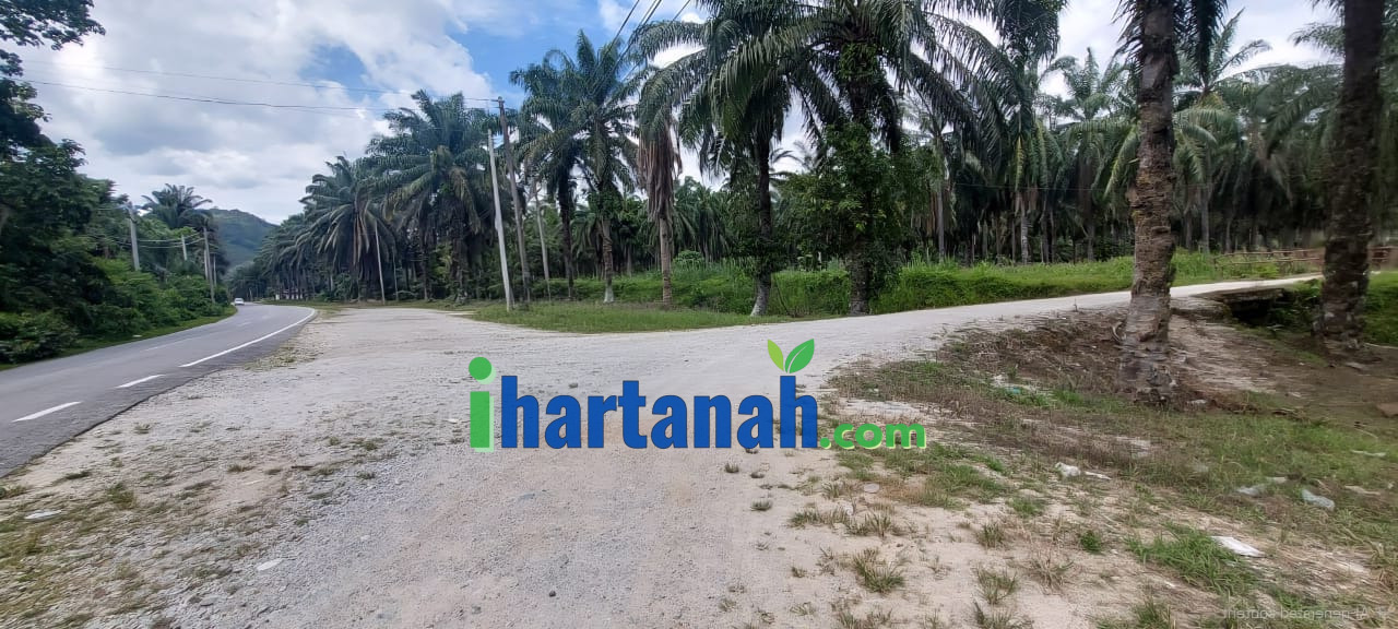 Tanah Sawit Redang Panjang, Selama, Perak