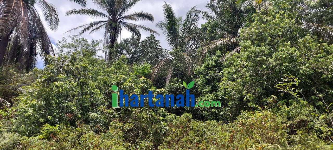 Tanah Sawit Redang Panjang, Selama, Perak