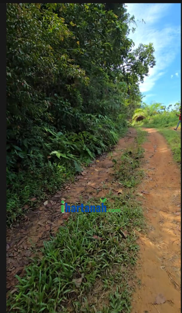 Tanah Sawit Redang Panjang, Selama, Perak
