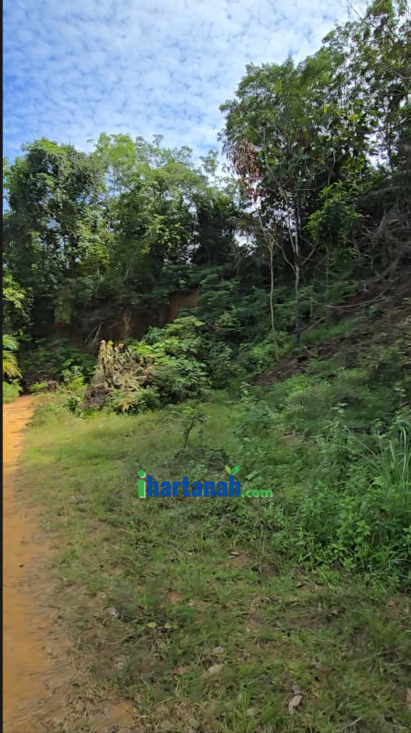 Tanah Sawit Redang Panjang, Selama, Perak